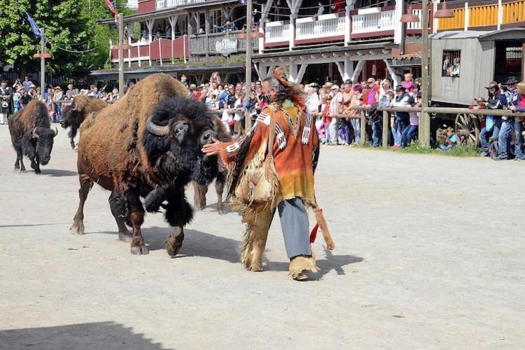 Harz Holiday Park, Hasselfelde Eksteriør billede